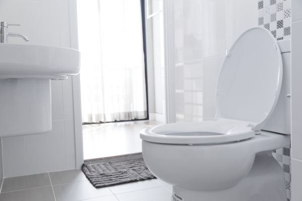 Professional Toilet Relocation